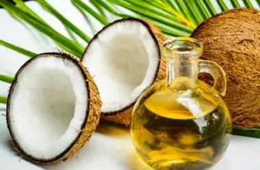 Óleo de coco e seus benefícios para a pele e cabelo